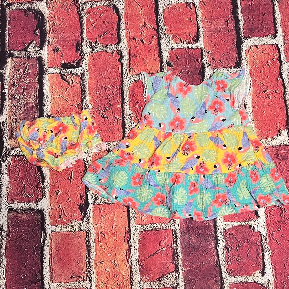 Baby Starters Colorful Floral Dress Set